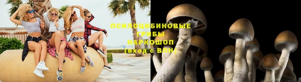 соль ск Беломорск