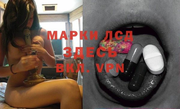 mdpv Белокуриха