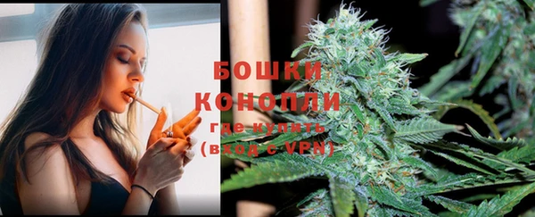 mdpv Белокуриха