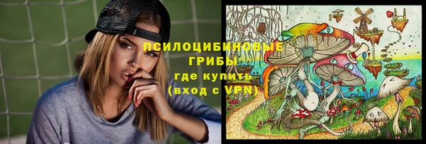 mdpv Белокуриха