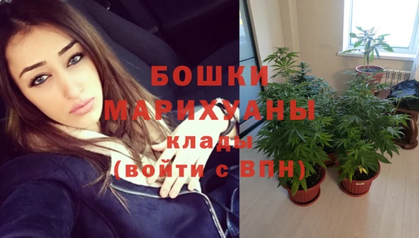 mdpv Белокуриха